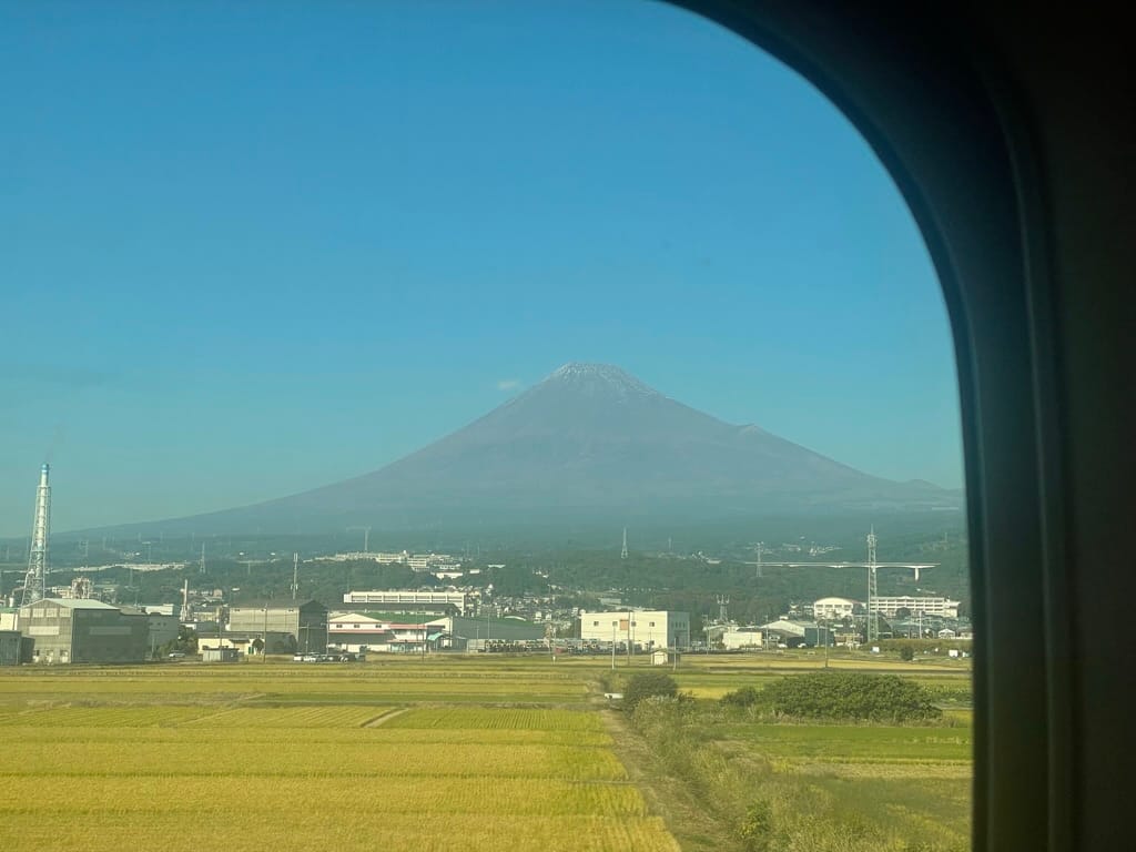 Mildly/Wildly Interesting Things About Japan 🇯🇵