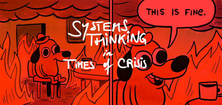 Systems Thinking in Times of Crisis: Three Frameworks for Policymaking 🔥